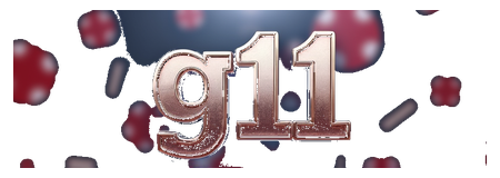 g11 logo